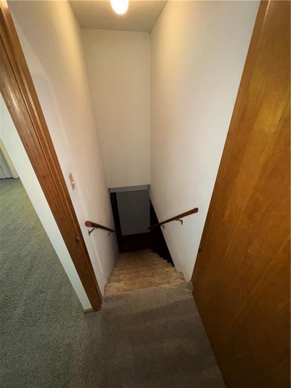105 N Hayes St, Garnett, KS 66032 - stairs with carpet flooring