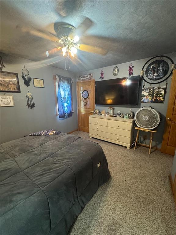 322 Grey Ridge Rd, Hale, MO 64643 - photo 11