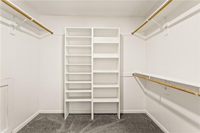 1321 SW Crossing Dr, Lees Summit, MO 64081 - walk in closet with dark carpet