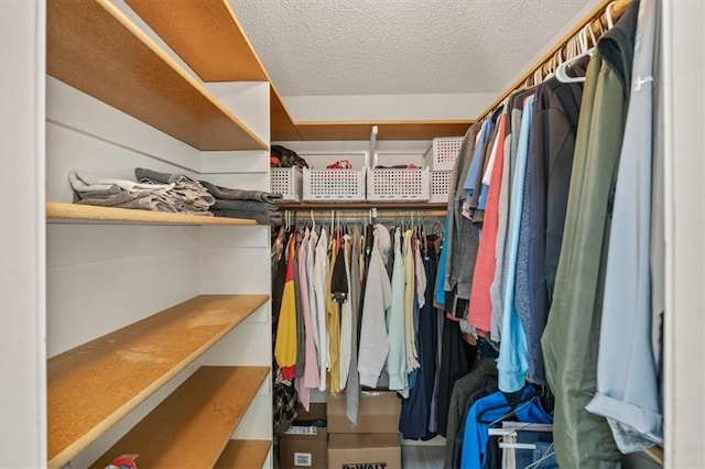 17277 W 157th St, Olathe, KS 66062 - view of walk in closet