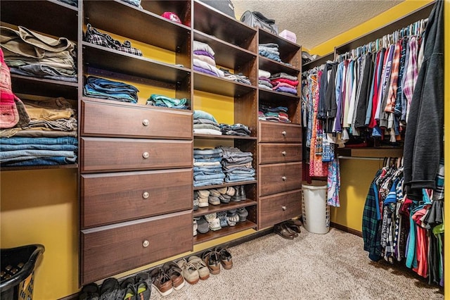 9750 SW 200th St, Smithville, MO 64089 - walk in closet featuring carpet floors