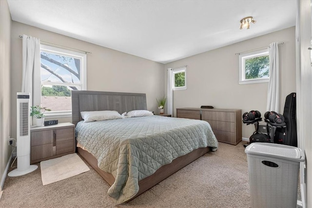 509 SE Bayberry Ln, Lees Summit, MO 64063 - photo 12