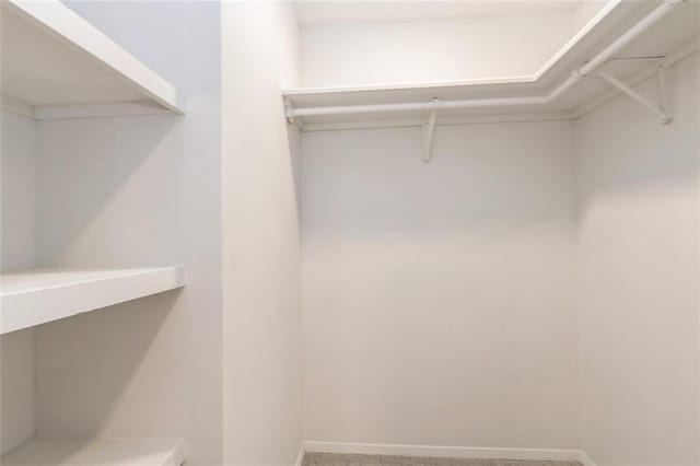 5308 Foster St, Mission, KS 66202 - walk in closet with carpet flooring