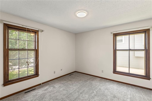 10131 W 84th St, Overland Park, KS 66212 - spare room with carpet flooring and a textured ceiling
