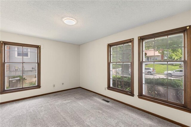 10131 W 84th St, Overland Park, KS 66212 - unfurnished room featuring carpet flooring and a textured ceiling