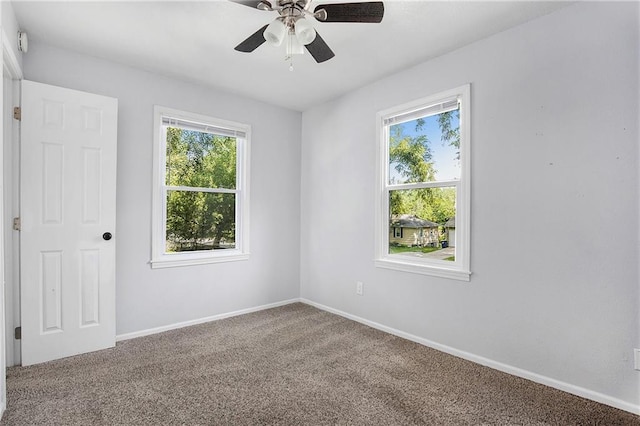 6116 Walmer St, Mission, KS 66202 - photo 13