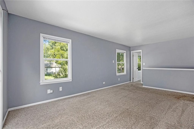 6116 Walmer St, Mission, KS 66202 - photo 17