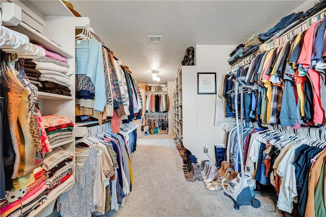 204 SW Ansel Adams Dr, Lees Summit, MO 64081 - spacious closet with carpet