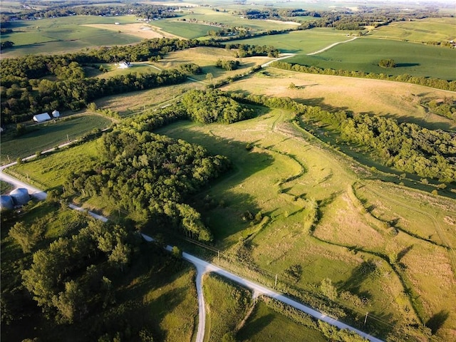 County Road 78, Fillmore, MO 64449 - photo 2