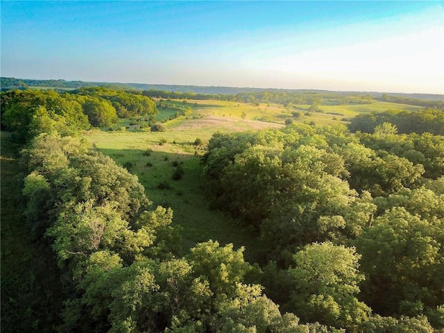 County Road 78, Fillmore, MO 64449 - photo 13