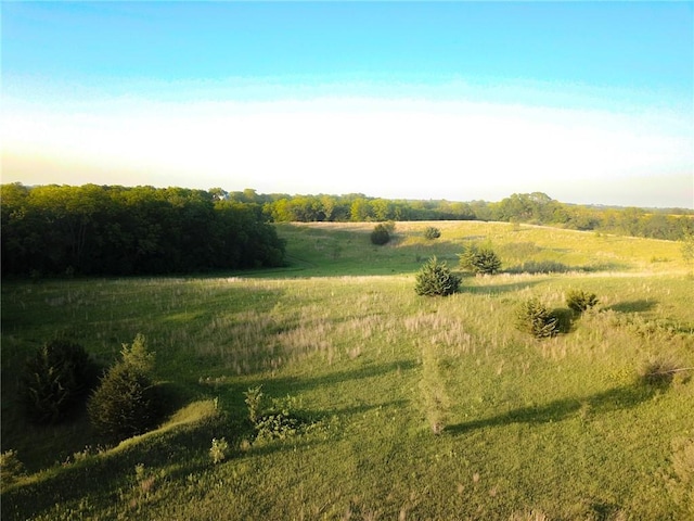 County Road 78, Fillmore, MO 64449 - photo 18