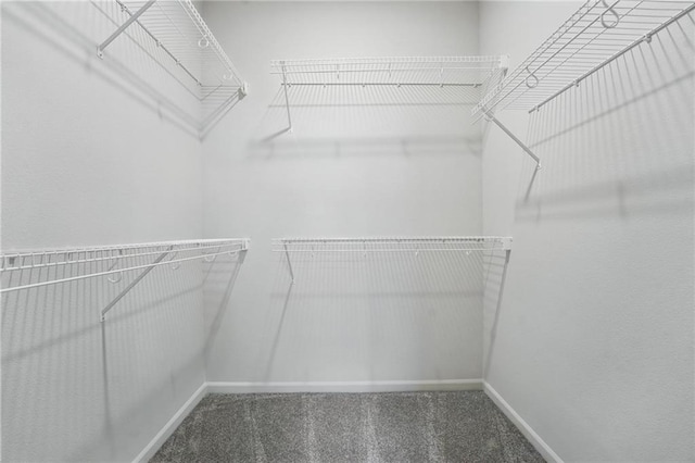3028 NW 95th Ter, Kansas City, MO 64154 - photo 21