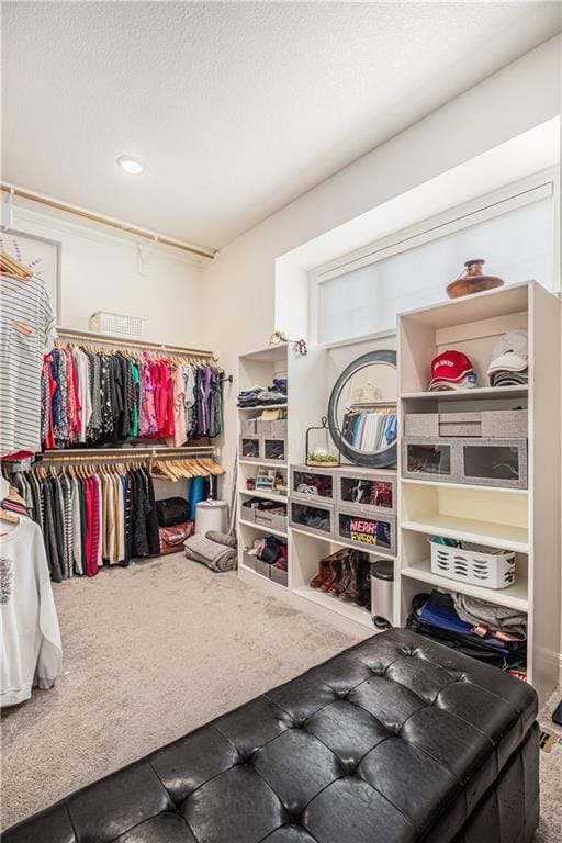 12418 W 163rd Ter, Overland Park, KS 66221 - photo 29