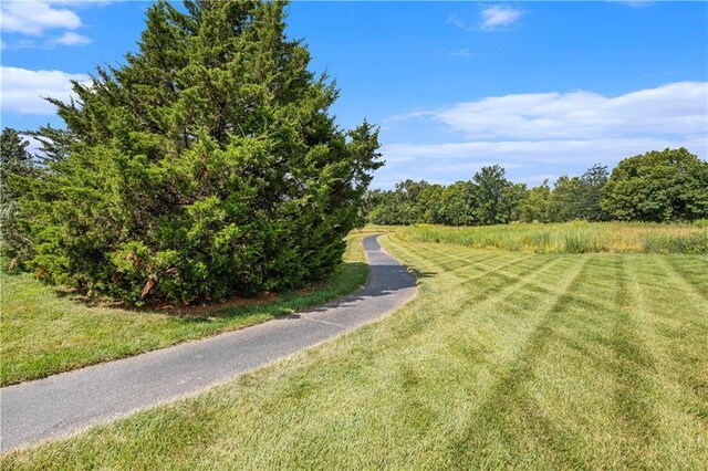 12418 W 163rd Ter, Overland Park, KS 66221 - photo 63