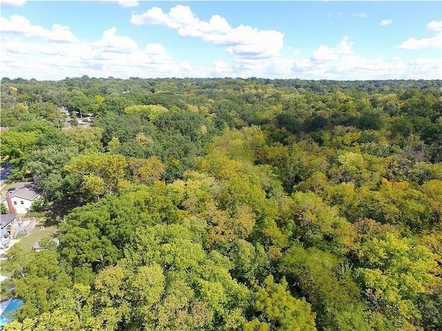 10806 Grandview Rd, Kansas City, MO 64137 - photo 4