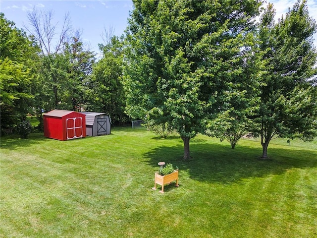 903 Howenstein St, Cameron, MO 64429 - view of grassy yard with a storage unit