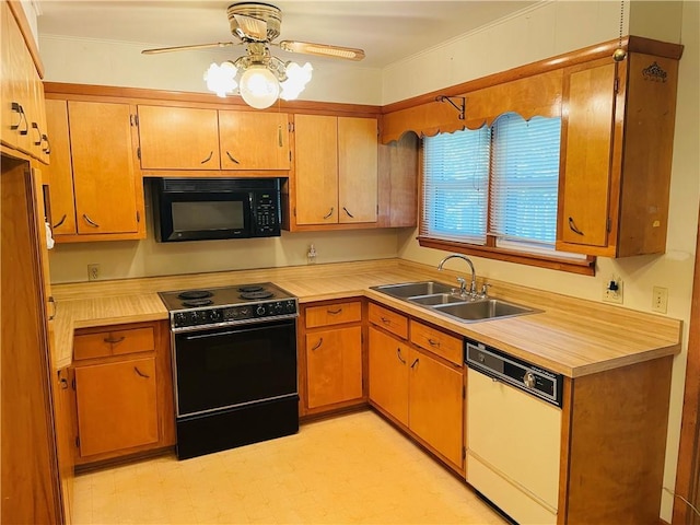 506 1st Ter, Lansing, KS 66043 - kitchen with black appliances, light countertops, ceiling fan, and crown molding