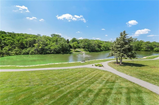 2029 NW Ashurst Dr, Lees Summit, MO 64081 - photo 35