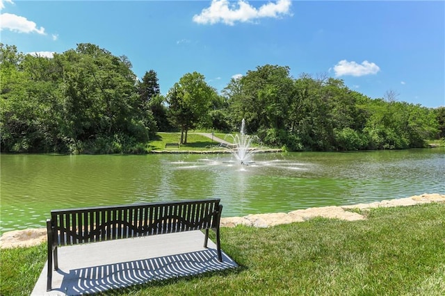 2029 NW Ashurst Dr, Lees Summit, MO 64081 - photo 49