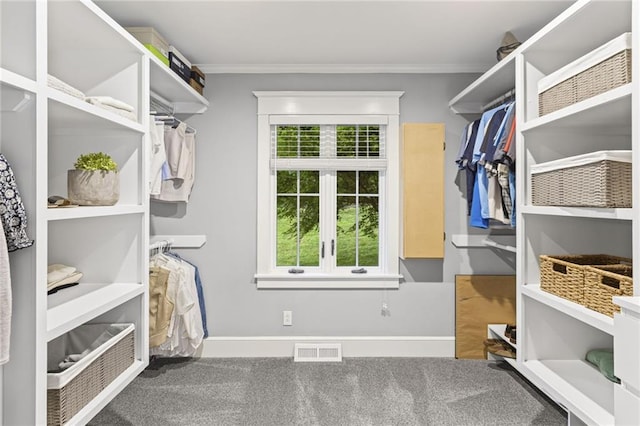 180 Terrace Trl S, Lake Quivira, KS 66217 - walk in closet featuring carpet flooring