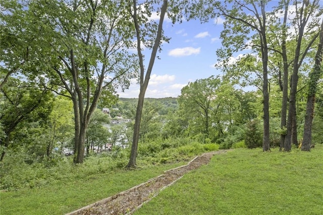 180 Terrace Trl S, Lake Quivira, KS 66217 - view of yard with a wooded view