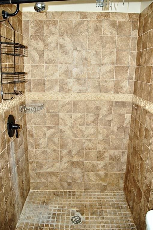407 Hithergreen Dr, Lansing, KS 66043 - full bathroom with tiled shower