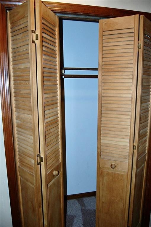 407 Hithergreen Dr, Lansing, KS 66043 - view of closet