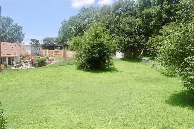 407 Hithergreen Dr, Lansing, KS 66043 - view of yard
