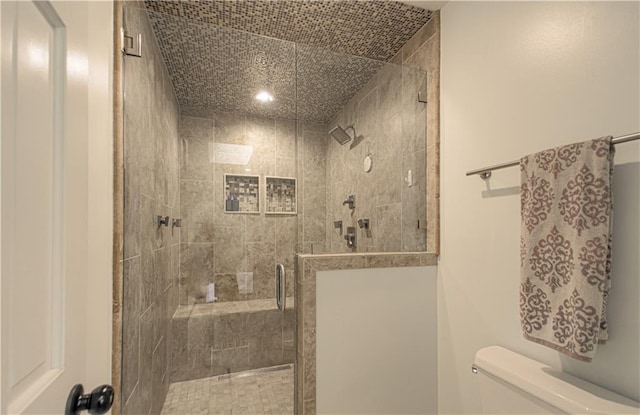 12600 Mohawk Ln, Leawood, KS 66209 - bathroom with toilet and a stall shower