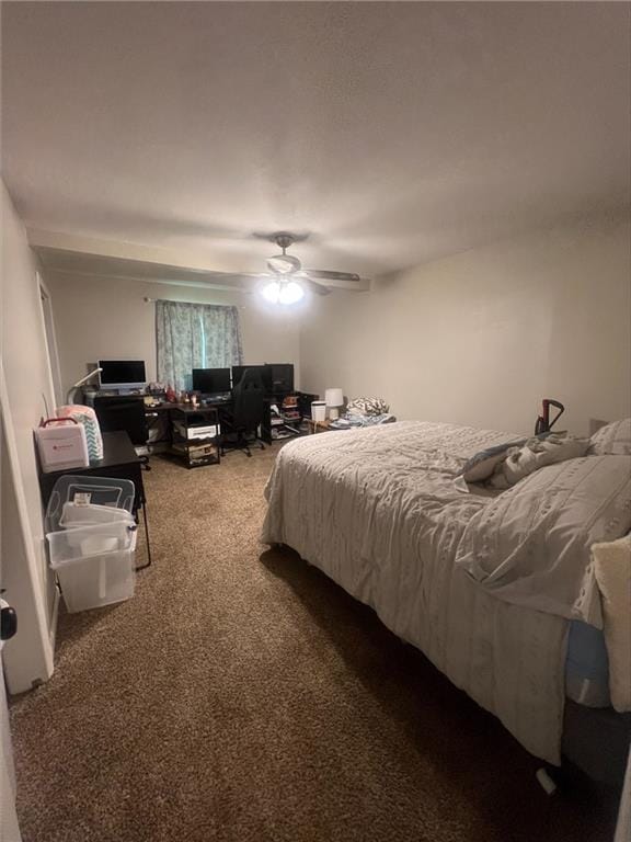 510 S Ozark St, Girard, KS 66743 - photo 6