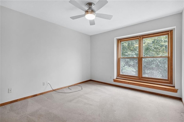 11726 E 72nd St, Kansas City, MO 64133 - photo 22