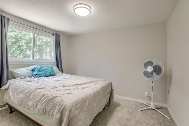 4405 NW 50th Ter, County/Other, MO 64151 - photo 20