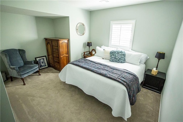 4500 Parks Summit Ter, Lees Summit, MO 64064 - view of carpeted bedroom