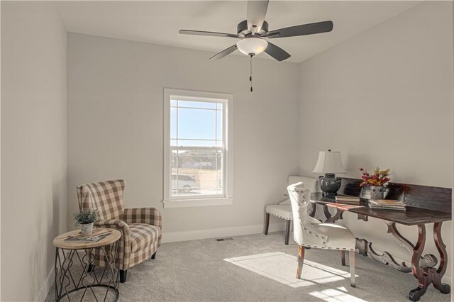 12435 Appaloosa St, Platte City, MO 64079 - photo 24