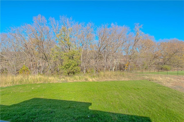 12435 Appaloosa St, Platte City, MO 64079 - photo 32