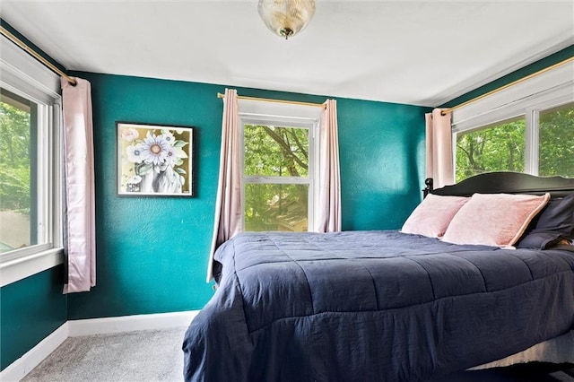 707 W 75th Ter, Kansas City, MO 64114 - carpeted bedroom featuring multiple windows