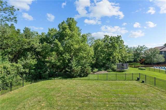 2217 SW Deer Run Ct, Lees Summit, MO 64082 - photo 48