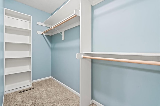1002 W Howard Pl, Louisburg, KS 66053 - spacious closet with carpet