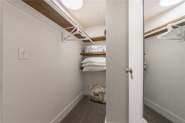 6613 E 123rd Ter, Grandview, MO 64030 - spacious closet featuring carpet floors