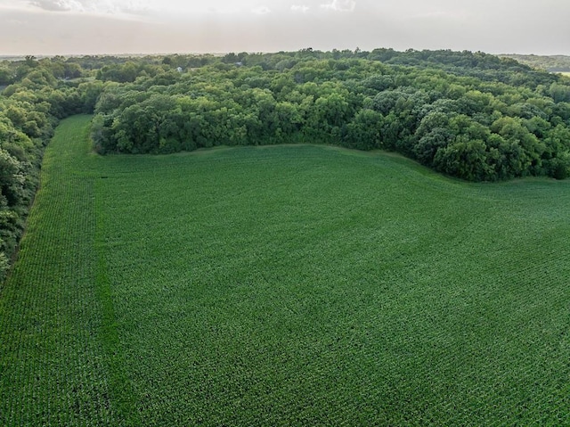 701 N Bly Rd, Independence, MO 64056 - photo 6