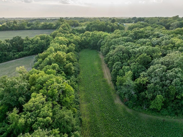 701 N Bly Rd, Independence, MO 64056 - photo 7