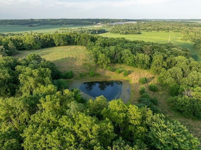701 N Bly Rd, Independence, MO 64056 - photo 17