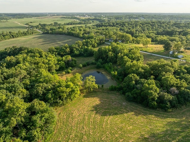 701 N Bly Rd, Independence, MO 64056 - photo 21