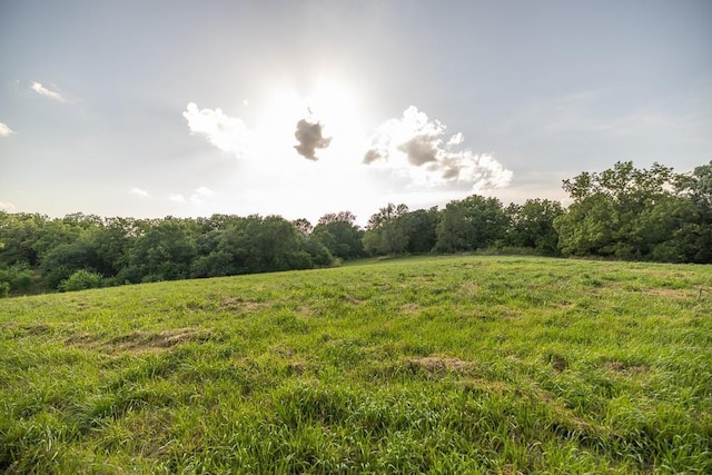 701 N Bly Rd, Independence, MO 64056 - photo 41