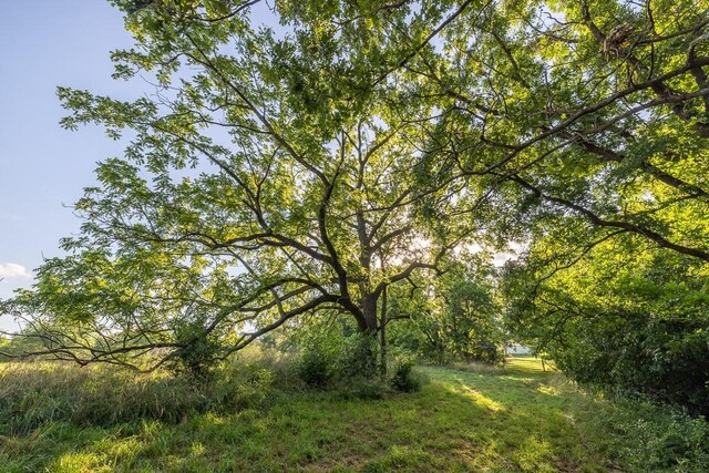 701 N Bly Rd, Independence, MO 64056 - photo 46