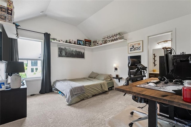 24328 W 58th Ter, Shawnee, KS 66226 - bedroom with carpet flooring and lofted ceiling