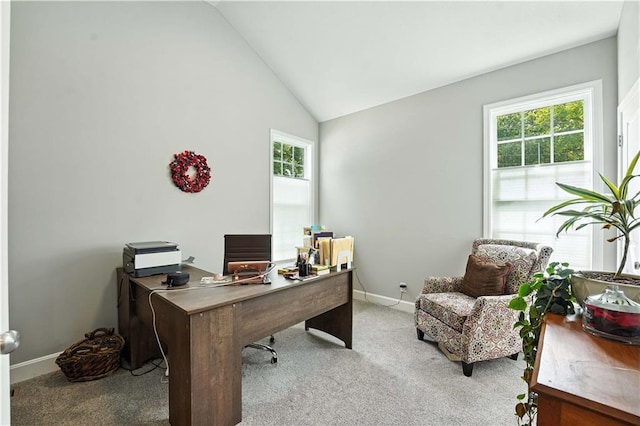 704 E 110th Ter, Kansas City, MO 64131 - office space featuring plenty of natural light, light carpet, and vaulted ceiling