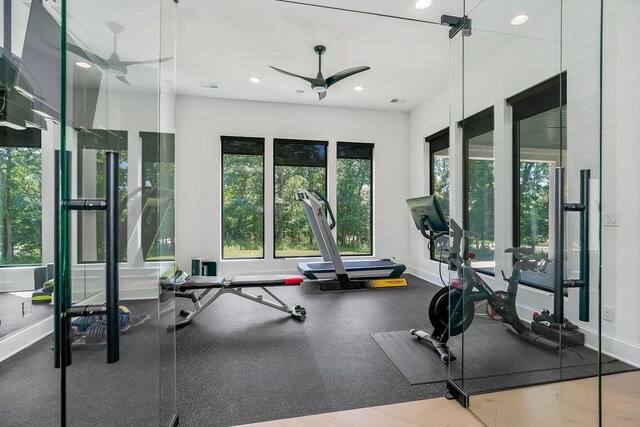 27497 W 108th St, Olathe, KS 66061 - exercise room with healthy amount of natural light, a ceiling fan, and recessed lighting