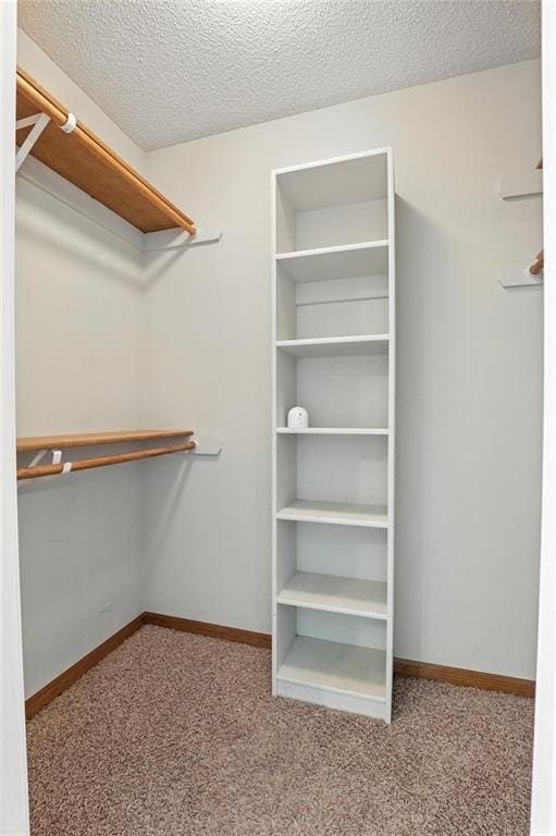 1501 SW Shelby Dr, Lees Summit, MO 64081 - walk in closet with carpet