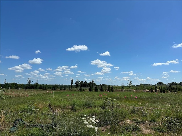 15389 W 173rd Ter, Olathe, KS 66062 - view of undeveloped land with rural landscape